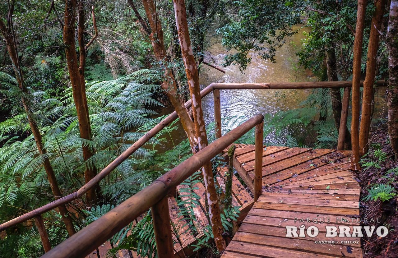 Parque Natural Rio Bravo Lodge Castro Extérieur photo